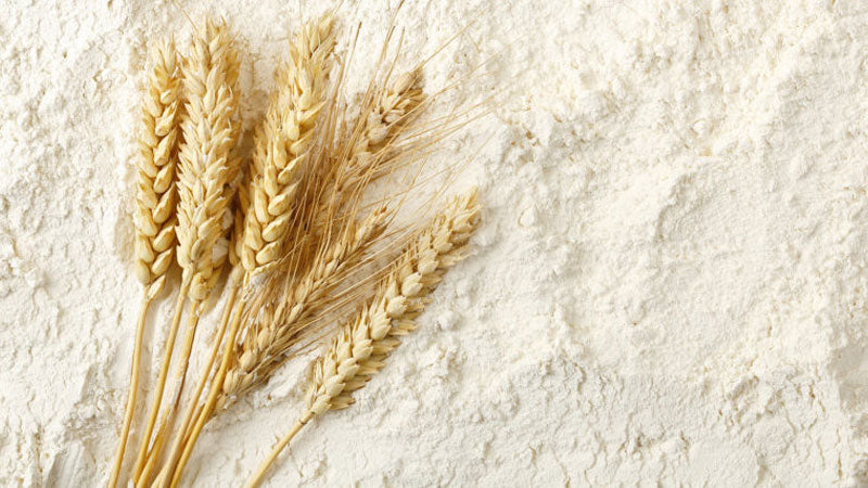 Imagem banner Por que evitar a farinha de trigo branca? | Konjac Massas MF